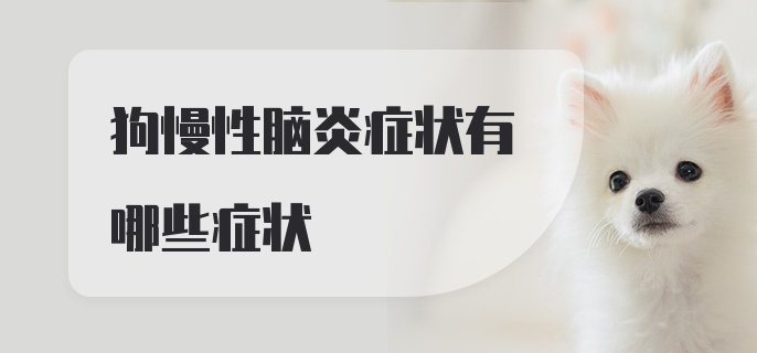 狗慢性脑炎症状有哪些症状