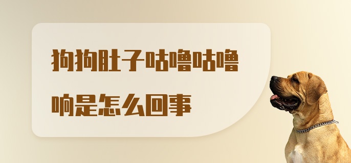 狗狗肚子咕噜咕噜响是怎么回事