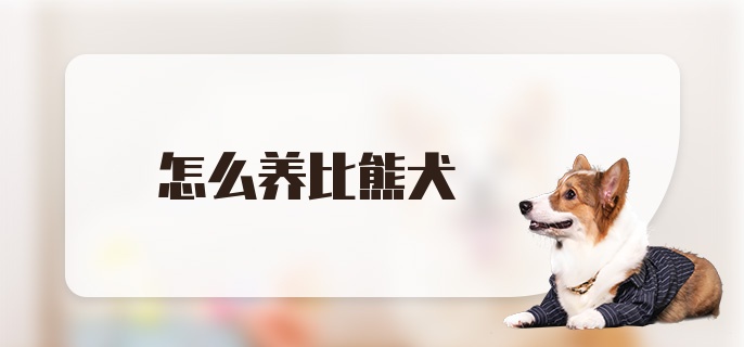 怎么养比熊犬