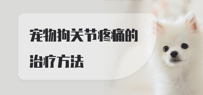 宠物狗关节疼痛的治疗方法