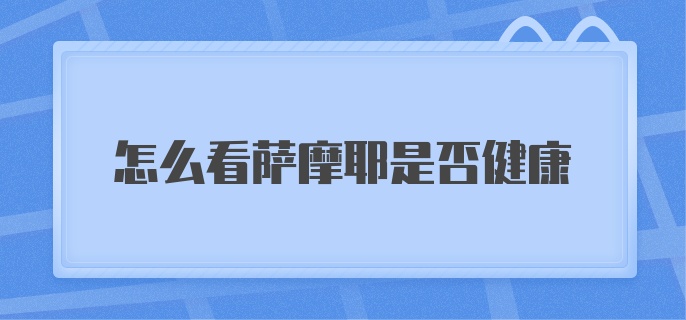 怎么看萨摩耶是否健康