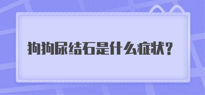 狗狗尿结石是什么症状？