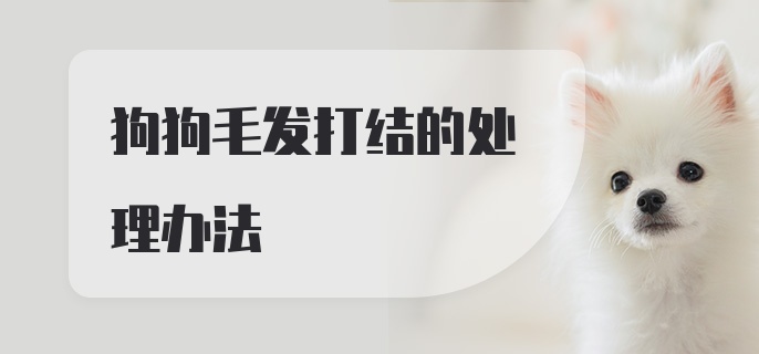 狗狗毛发打结的处理办法