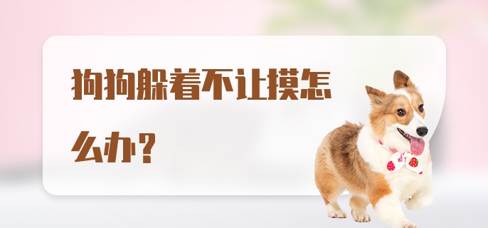 狗狗躲着不让摸怎么办?