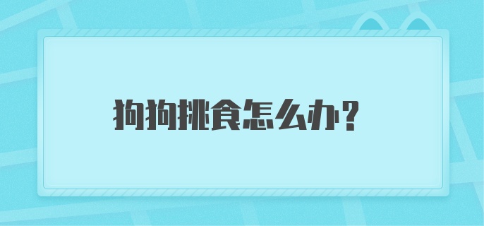 狗狗挑食怎么办？