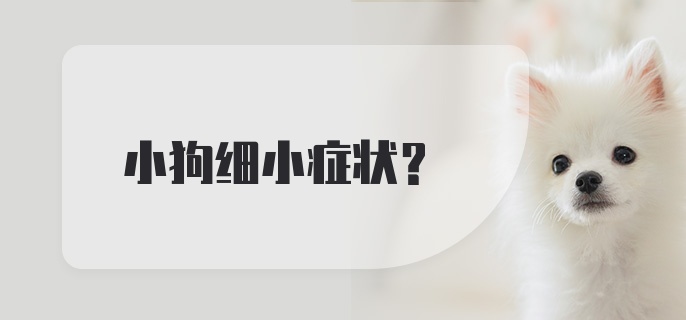 小狗细小症状？