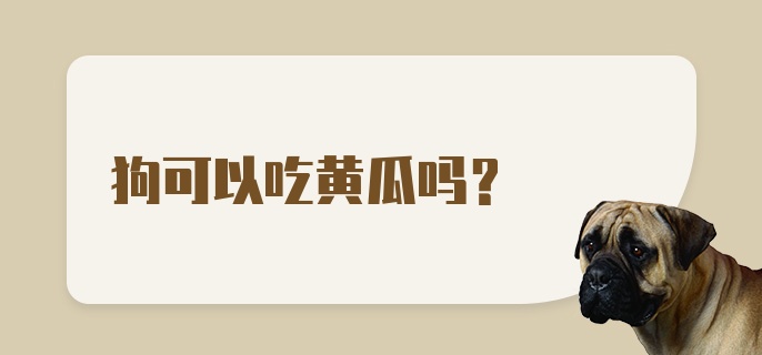 狗可以吃黄瓜吗？