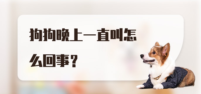 狗狗晚上一直叫怎么回事？