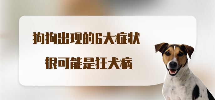 狗狗出现的6大症状 很可能是狂犬病