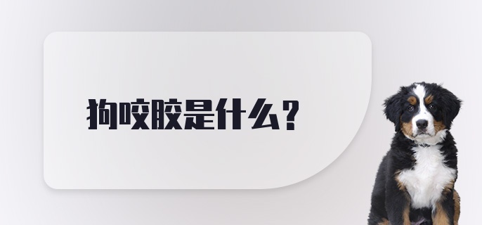 狗咬胶是什么？