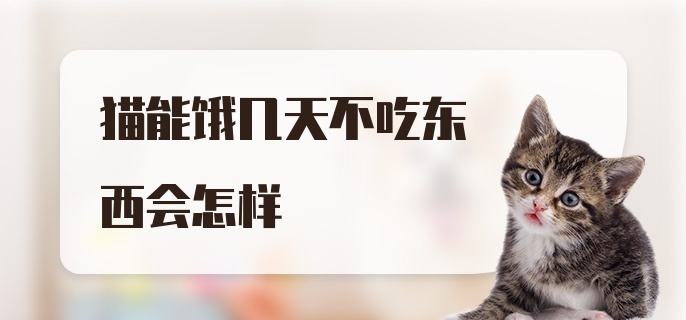 猫能饿几天不吃东西会怎样