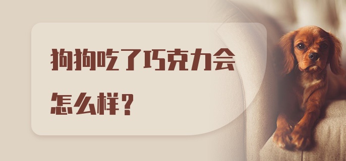 狗狗吃了巧克力会怎么样？