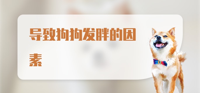 导致狗狗发胖的因素