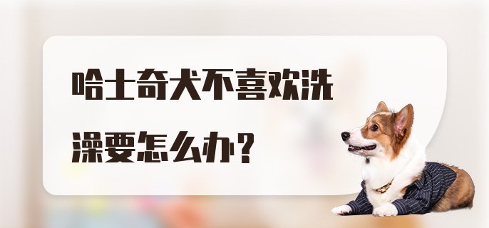 哈士奇犬不喜欢洗澡要怎么办？