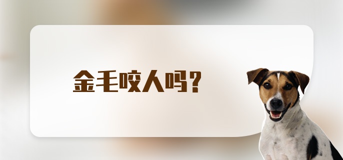 金毛咬人吗？