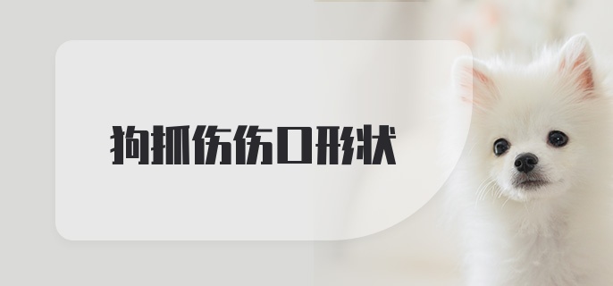 狗抓伤伤口形状