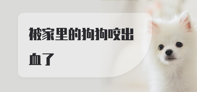 被家里的狗狗咬出血了