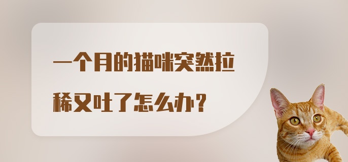 一个月的猫咪突然拉稀又吐了怎么办？