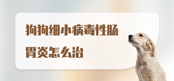 狗狗细小病毒性肠胃炎怎么治