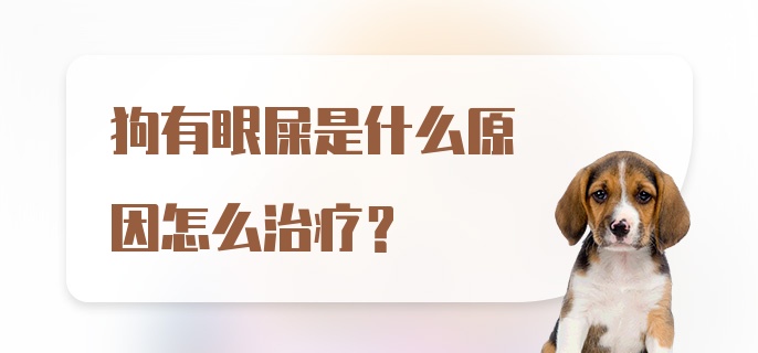 狗有眼屎是什么原因怎么治疗？