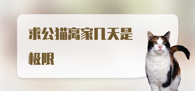 求公猫离家几天是极限