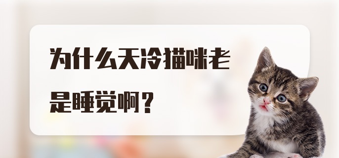 为什么天冷猫咪老是睡觉啊？