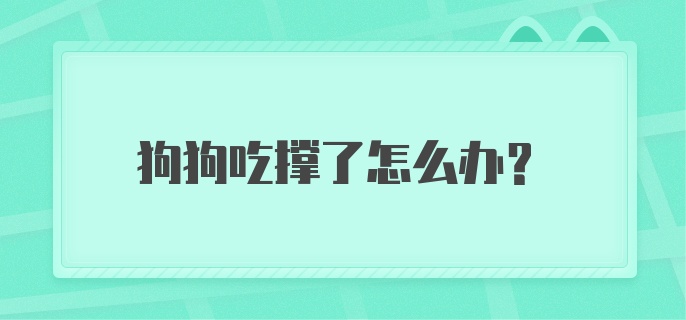 狗狗吃撑了怎么办？