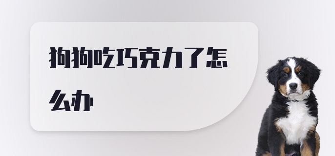 狗狗吃巧克力了怎么办