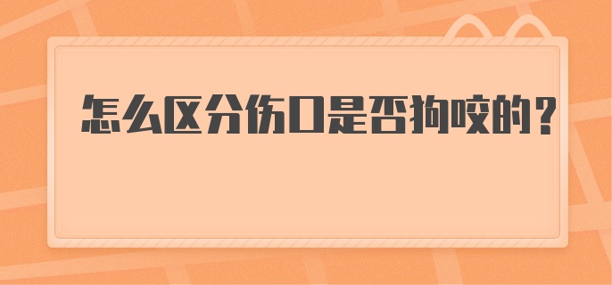 怎么区分伤口是否狗咬的？