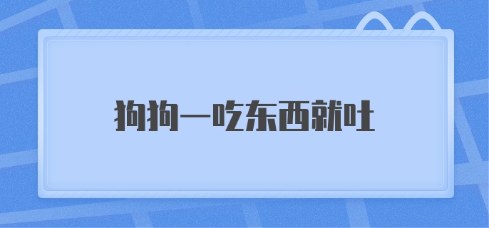 狗狗一吃东西就吐