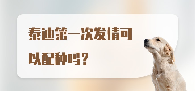 泰迪第一次发情可以配种吗？