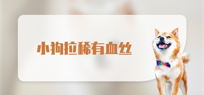 小狗拉稀有血丝