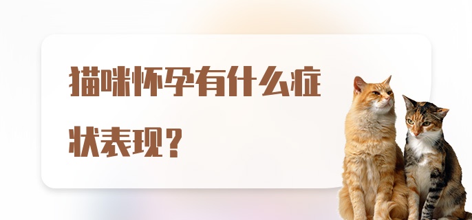 猫咪怀孕有什么症状表现？