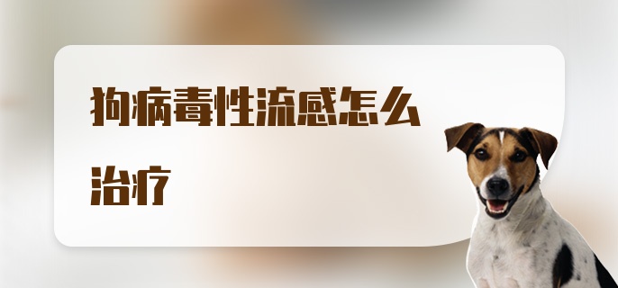 狗病毒性流感怎么治疗