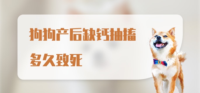 狗狗产后缺钙抽搐多久致死