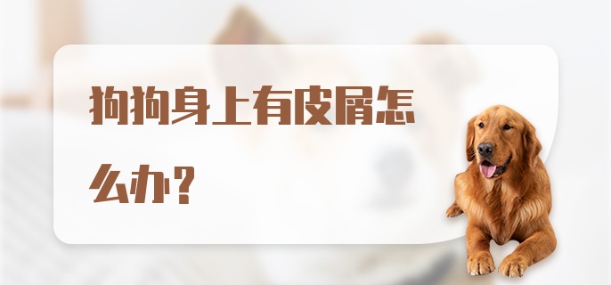 狗狗身上有皮屑怎么办?