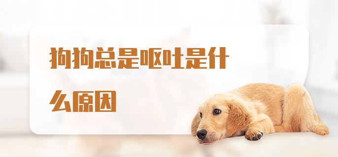 狗狗总是呕吐是什么原因