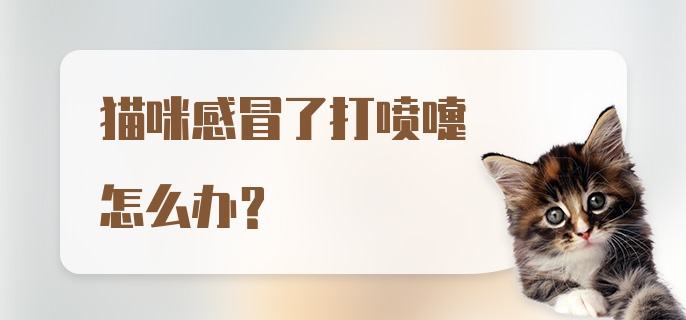 猫咪感冒了打喷嚏怎么办？