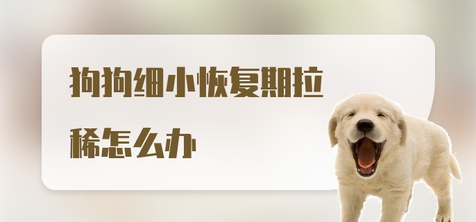 狗狗细小恢复期拉稀怎么办