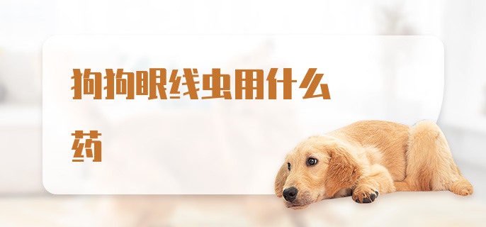 狗狗得了眼线虫用什么药