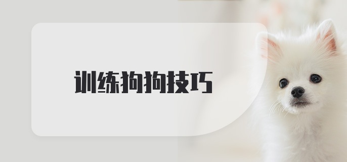 训练狗狗技巧