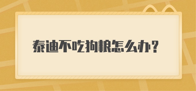 泰迪不吃狗粮怎么办?