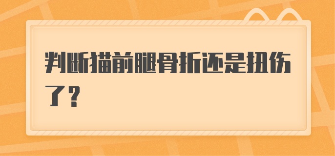 判断猫前腿骨折还是扭伤了？