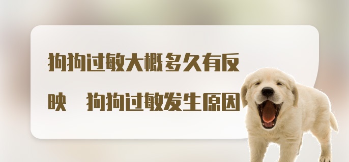 狗狗过敏大概多久有反映 狗狗过敏发生原因