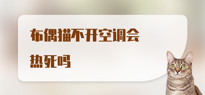 布偶猫不开空调会热死吗