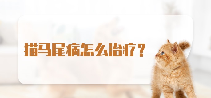 猫马尾病怎么治疗?