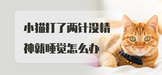 小猫打了两针没精神就睡觉怎么办