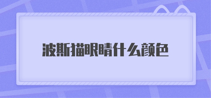 波斯猫眼睛什么颜色