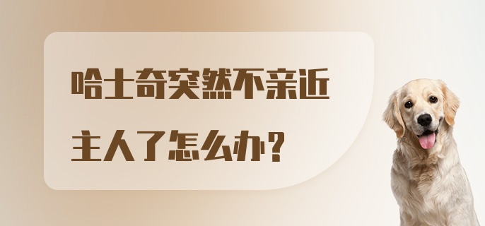 哈士奇突然不亲近主人了怎么办？