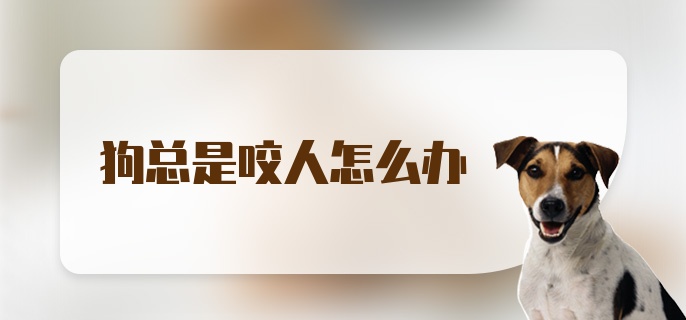 狗总是咬人怎么办